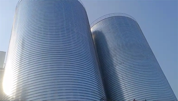 阳原2座混凝土高架卷板仓